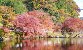 鎌北湖の紅葉