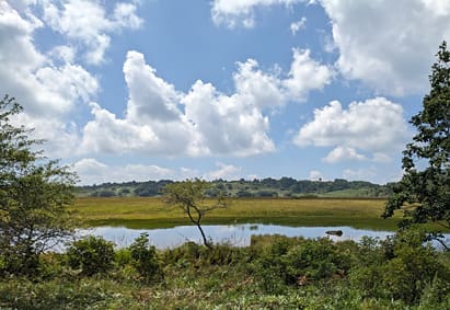 霧ヶ峰 八島ヶ原湿原