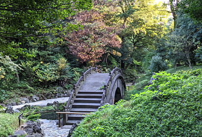 小石川後楽園 2