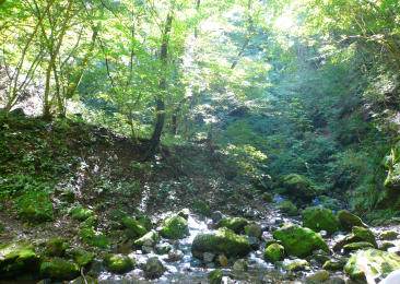 御岳山ロックガーデン