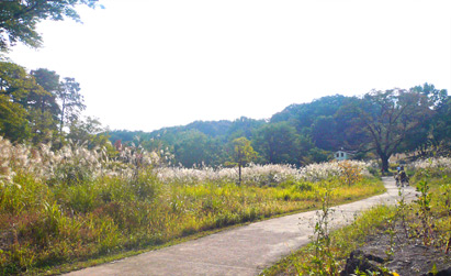 狭山公園