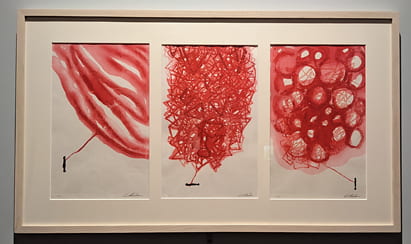 塩田千春 Connected to Universe - Red Waves, Red Lines, Red Circles