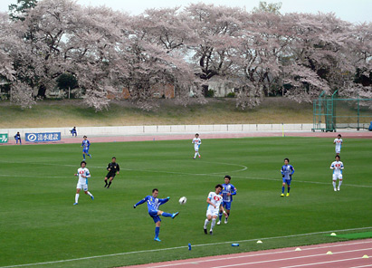 横河武蔵野FC